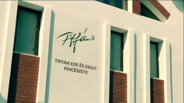 ifj. Tiffán Zsolt és RedY (videó)